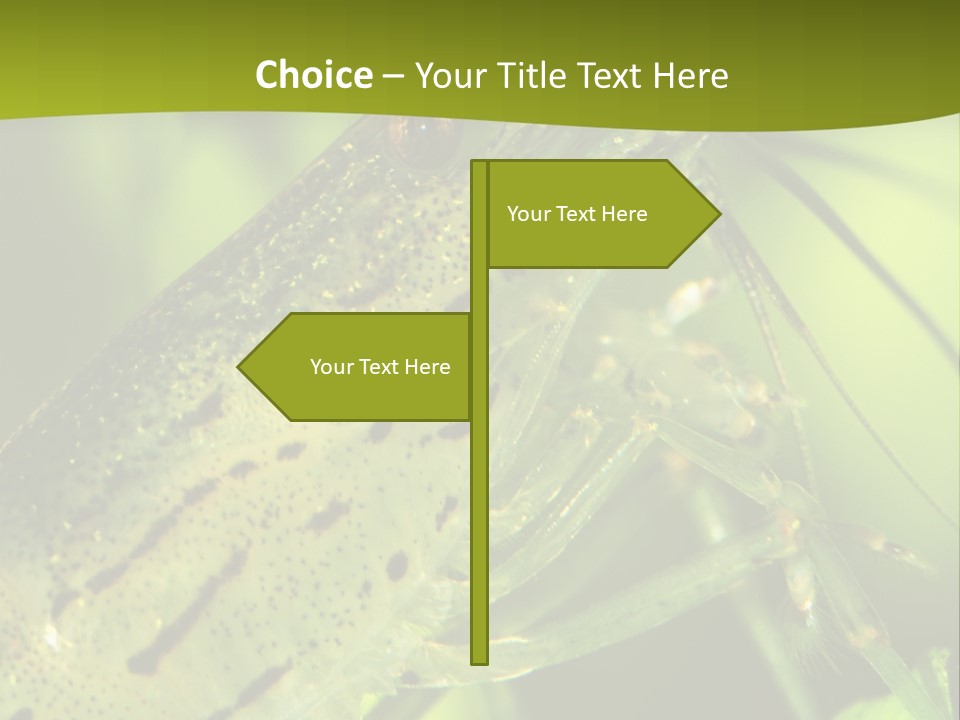 Tank Bottom Monster PowerPoint Template