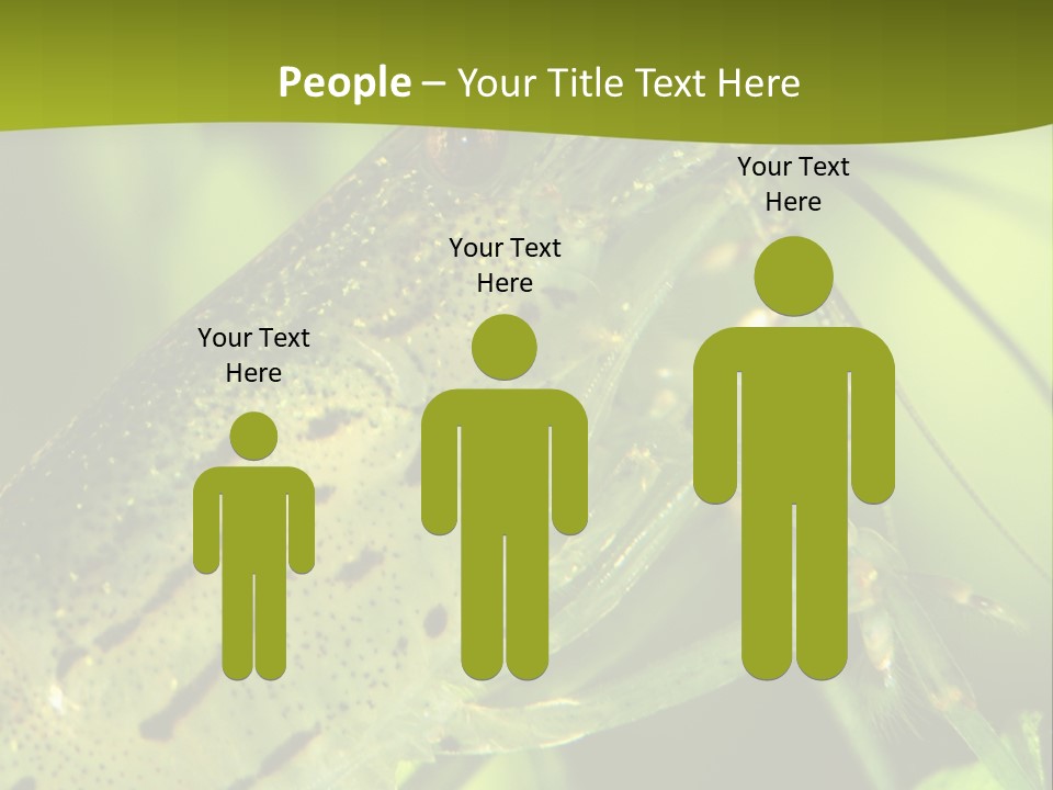 Tank Bottom Monster PowerPoint Template