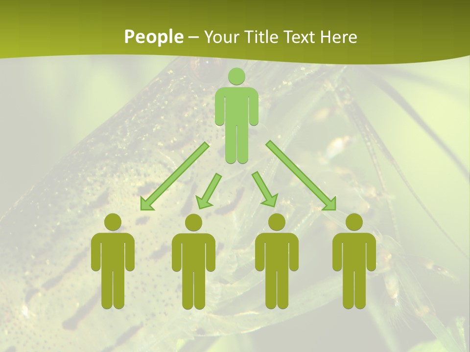 Tank Bottom Monster PowerPoint Template