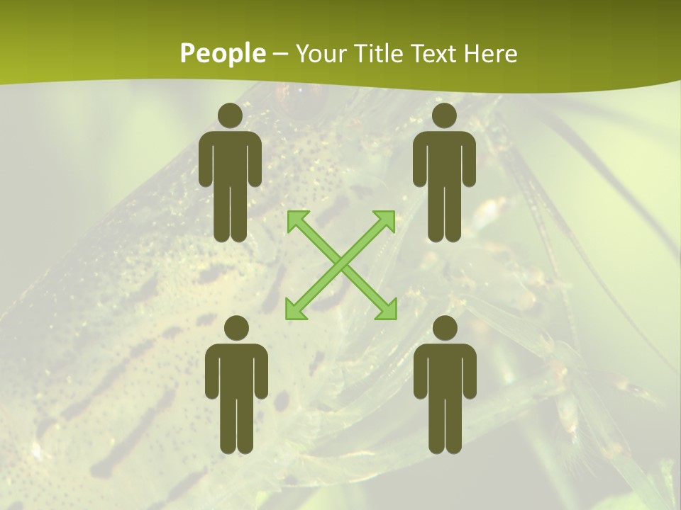 Tank Bottom Monster PowerPoint Template