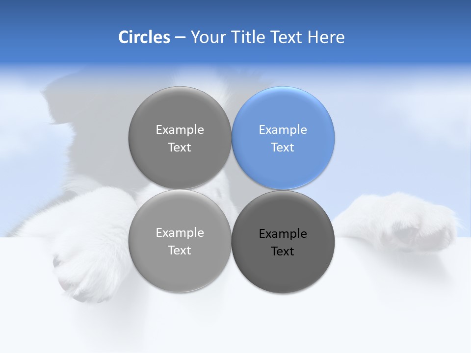 White Nobody Little PowerPoint Template