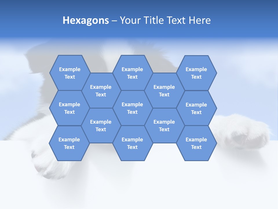 White Nobody Little PowerPoint Template