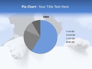 White Nobody Little PowerPoint Template