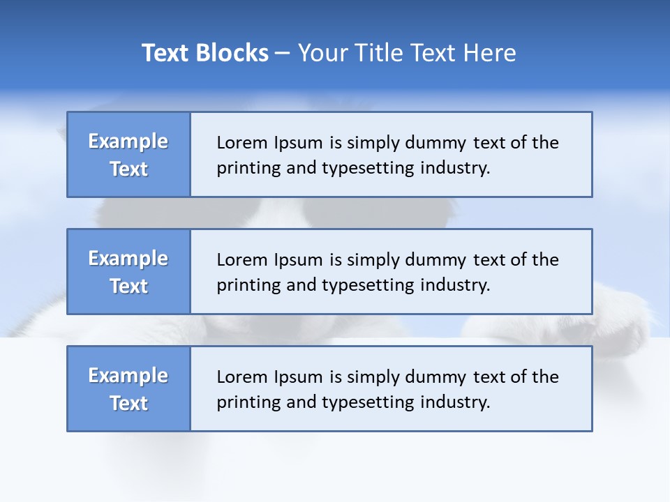 White Nobody Little PowerPoint Template