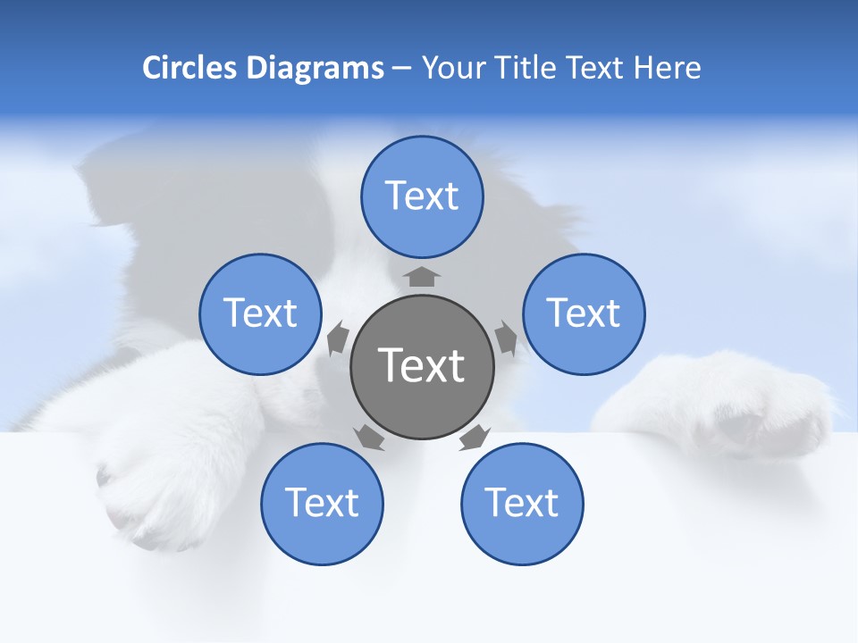 White Nobody Little PowerPoint Template