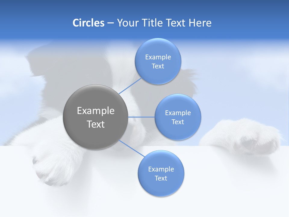 White Nobody Little PowerPoint Template