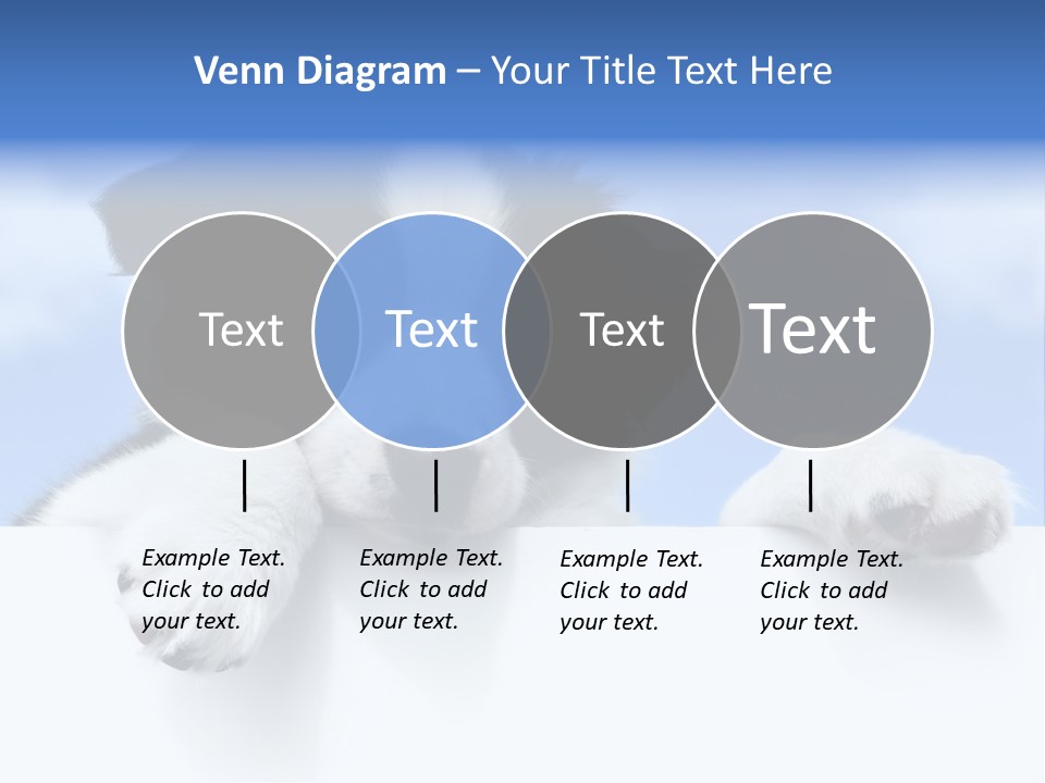 White Nobody Little PowerPoint Template