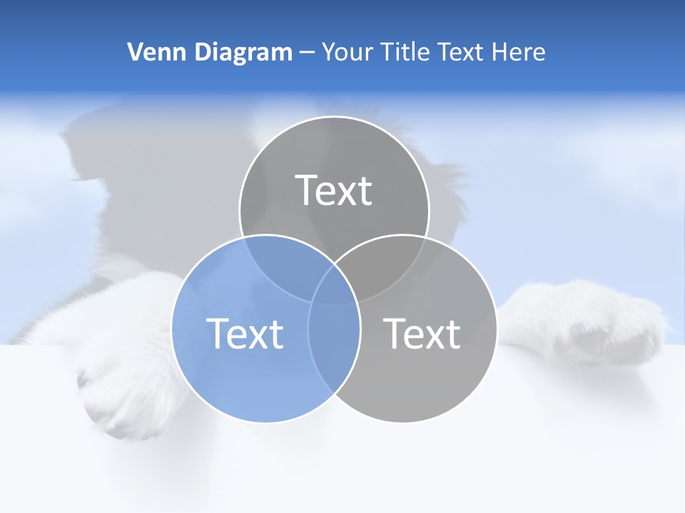 White Nobody Little PowerPoint Template