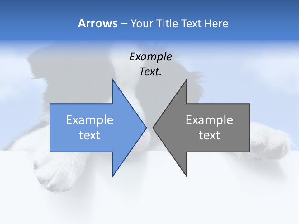 White Nobody Little PowerPoint Template