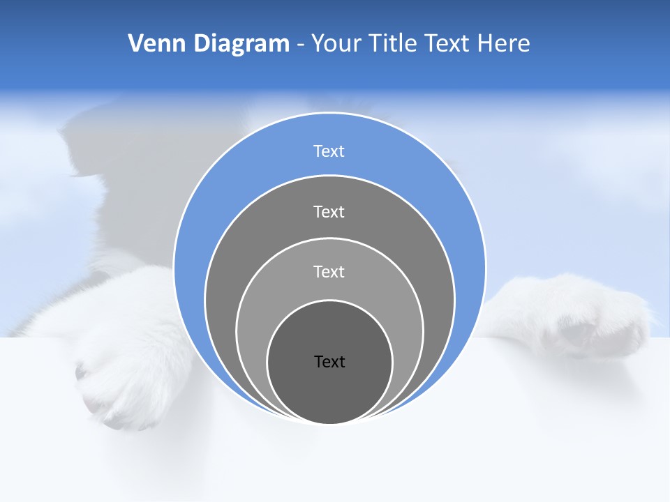 White Nobody Little PowerPoint Template