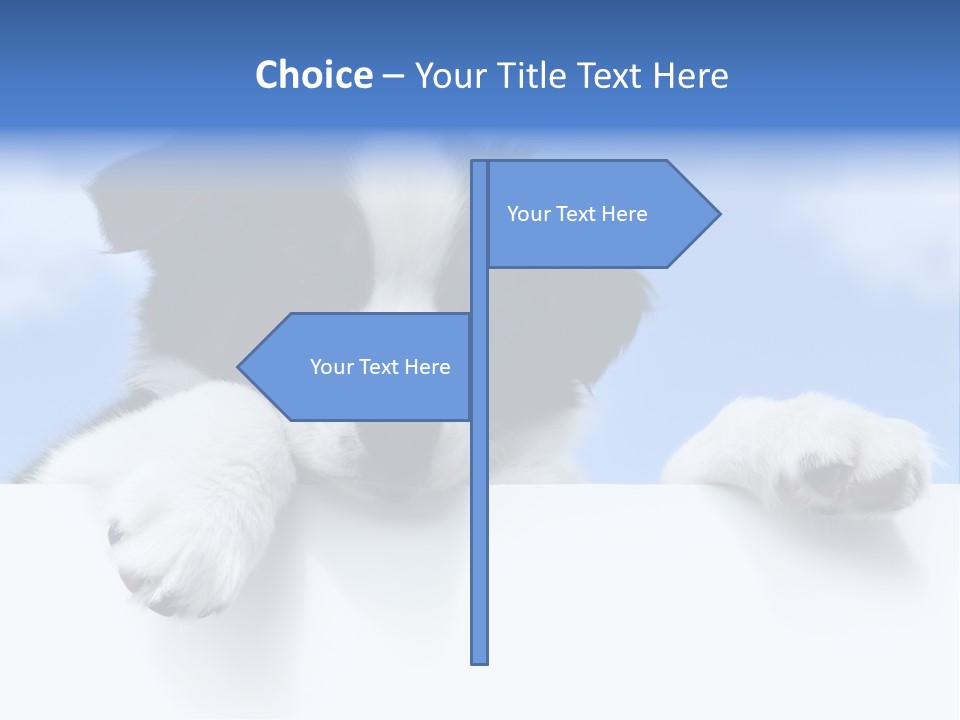 White Nobody Little PowerPoint Template