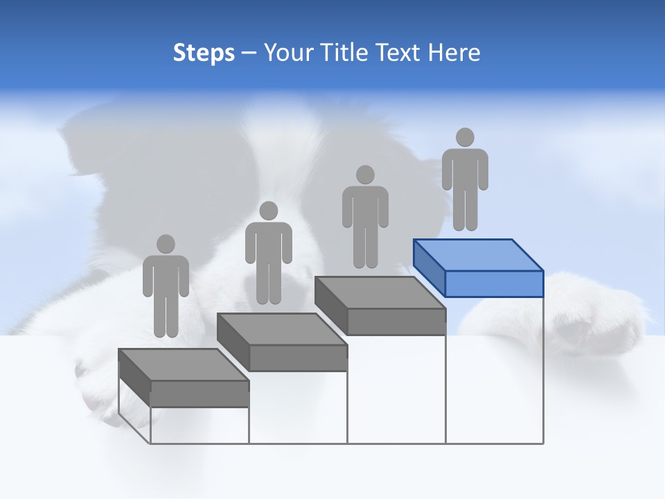 White Nobody Little PowerPoint Template