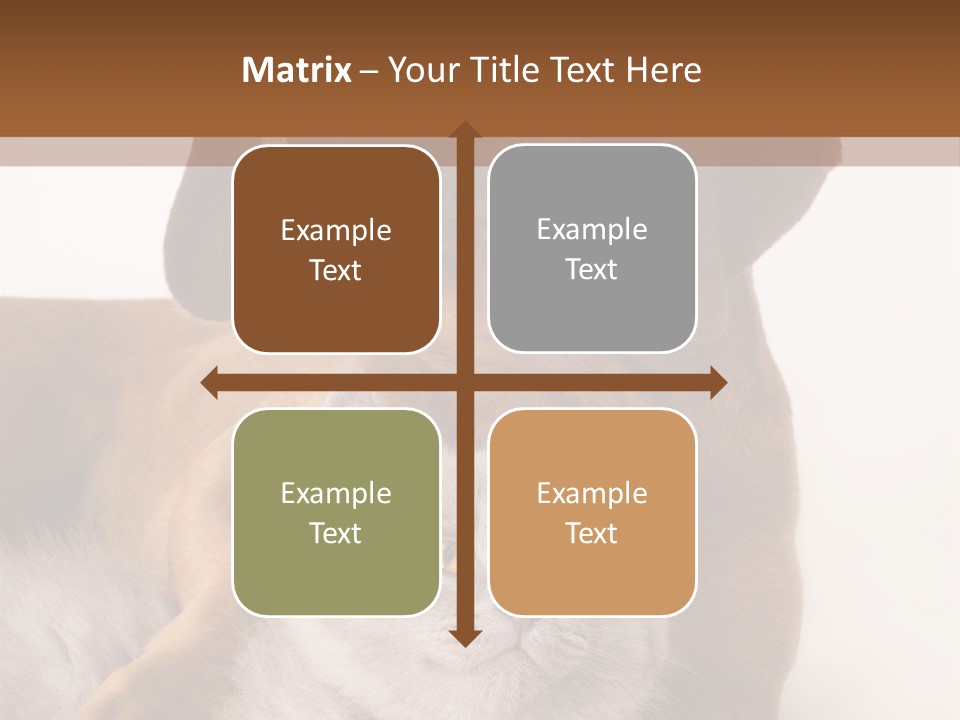 Black Kitty Life PowerPoint Template