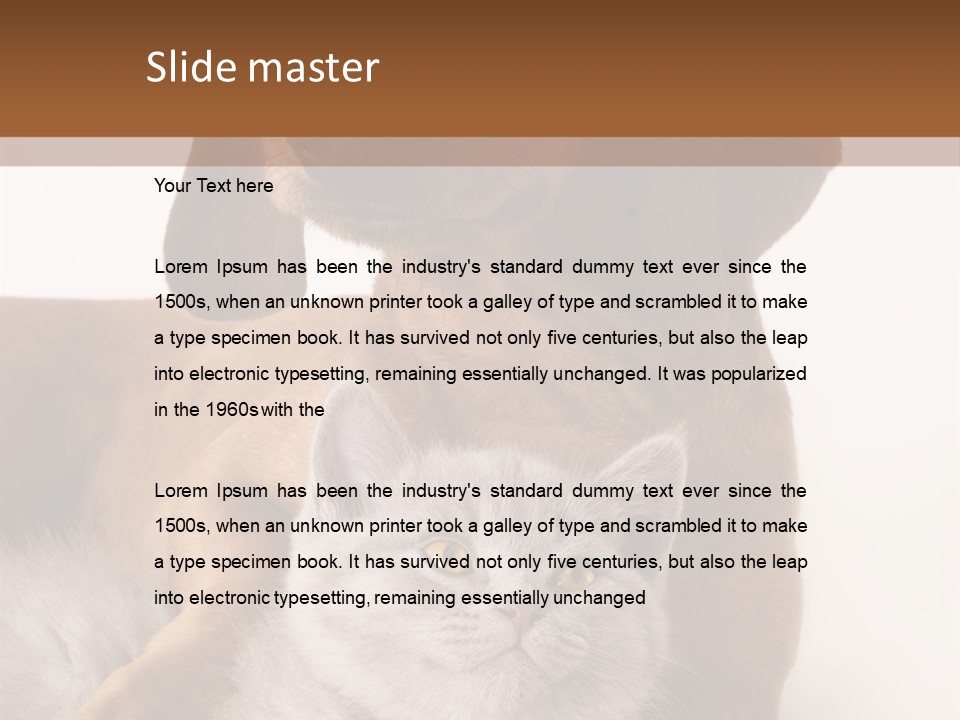 Black Kitty Life PowerPoint Template