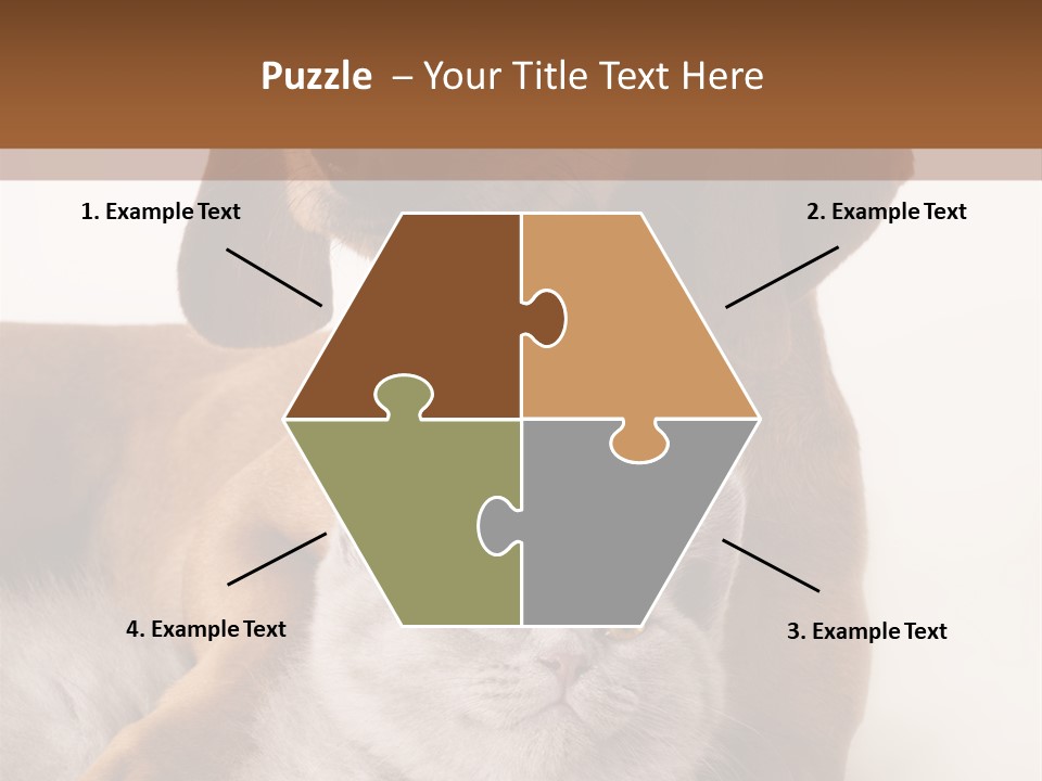 Black Kitty Life PowerPoint Template