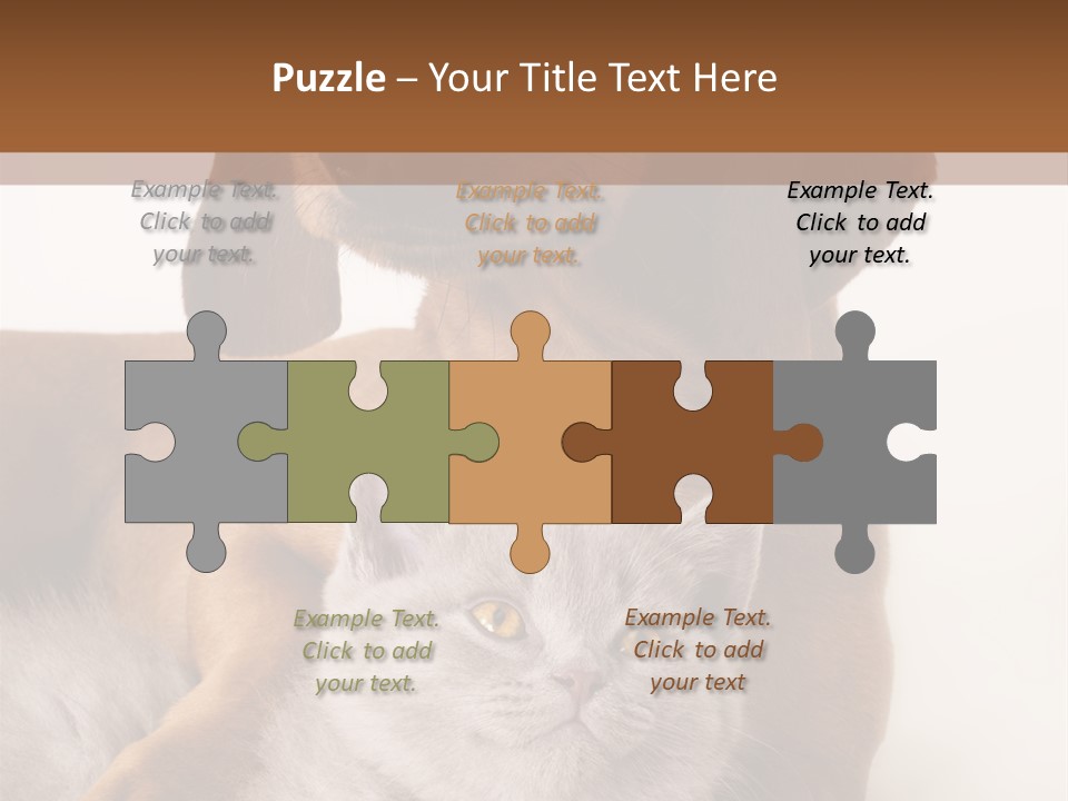 Black Kitty Life PowerPoint Template