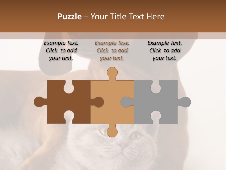 Black Kitty Life PowerPoint Template