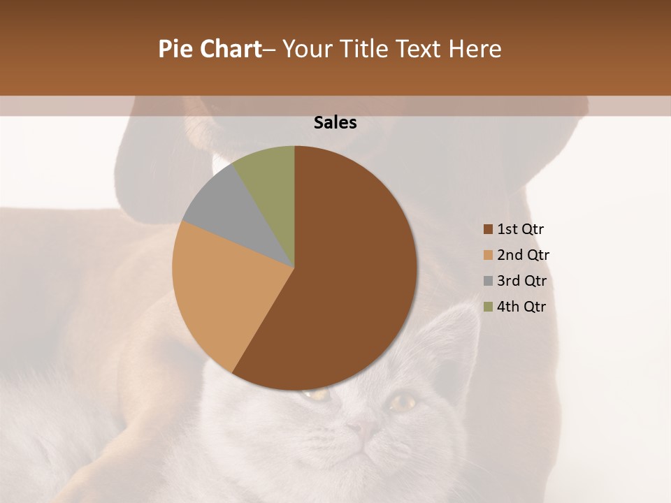 Black Kitty Life PowerPoint Template