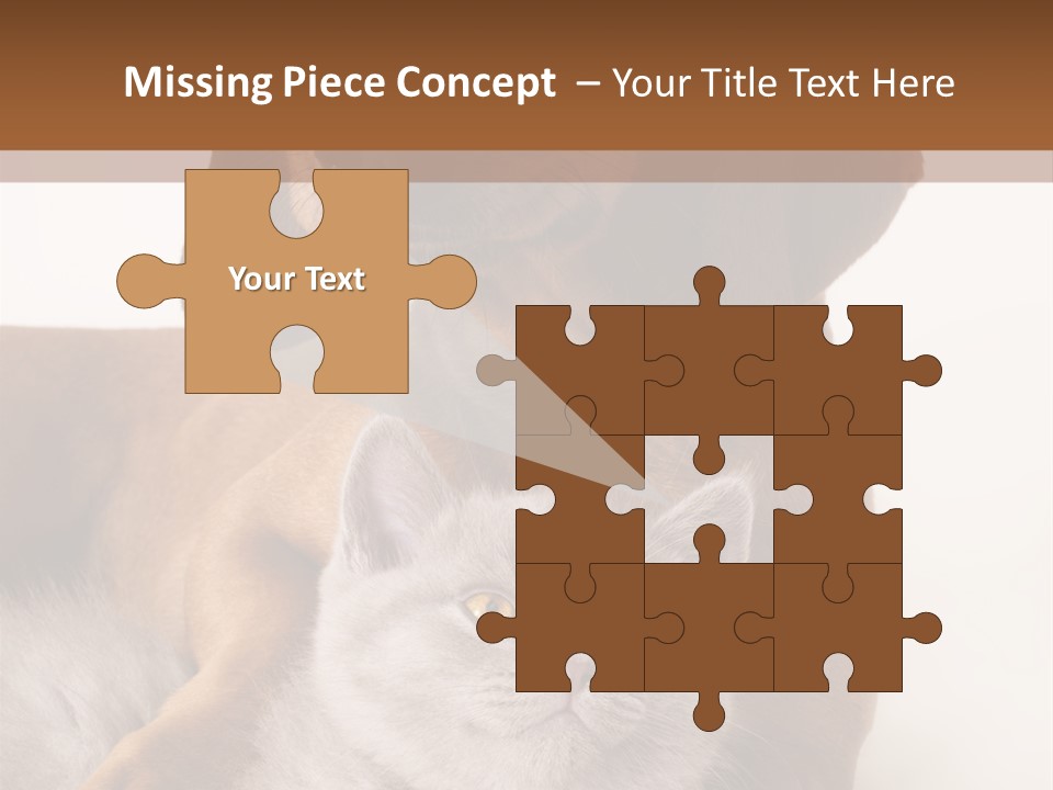 Black Kitty Life PowerPoint Template