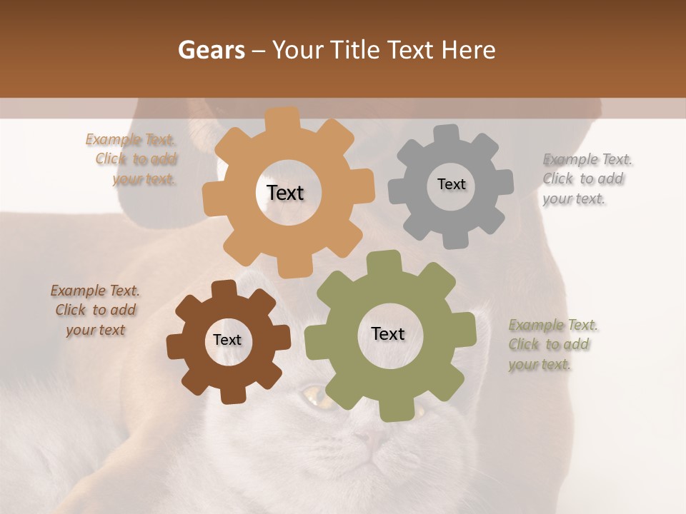 Black Kitty Life PowerPoint Template