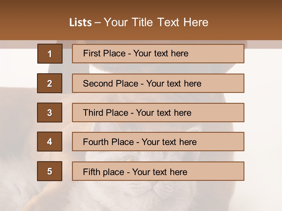 Black Kitty Life PowerPoint Template