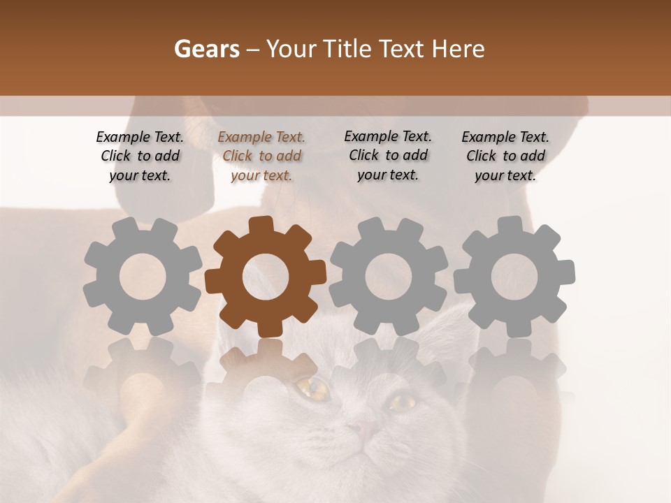 Black Kitty Life PowerPoint Template