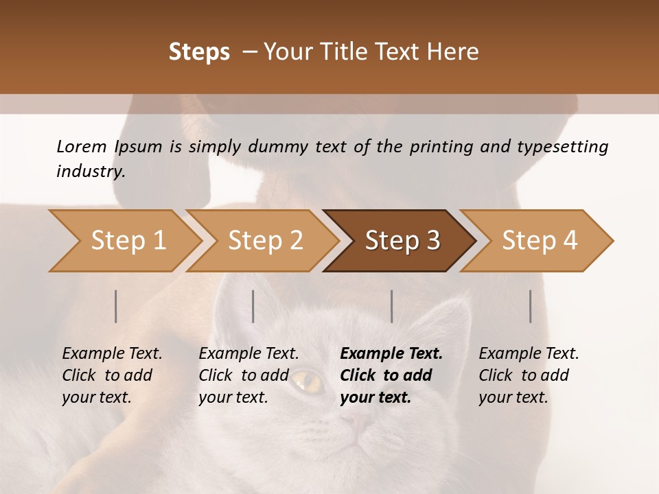 Black Kitty Life PowerPoint Template