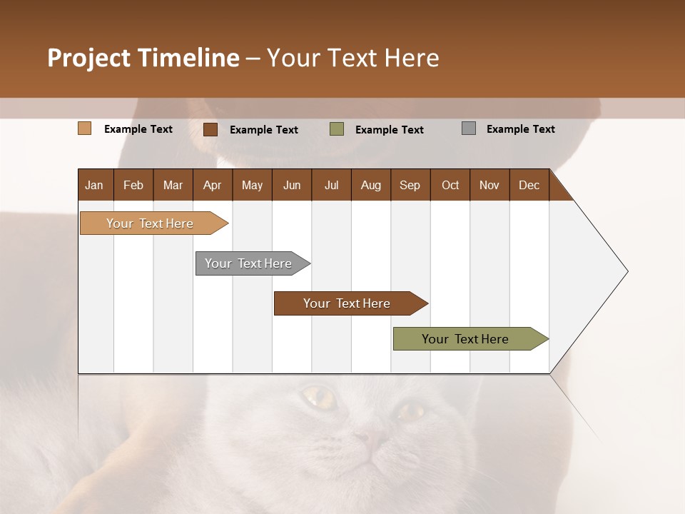 Black Kitty Life PowerPoint Template