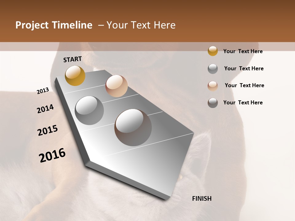 Black Kitty Life PowerPoint Template