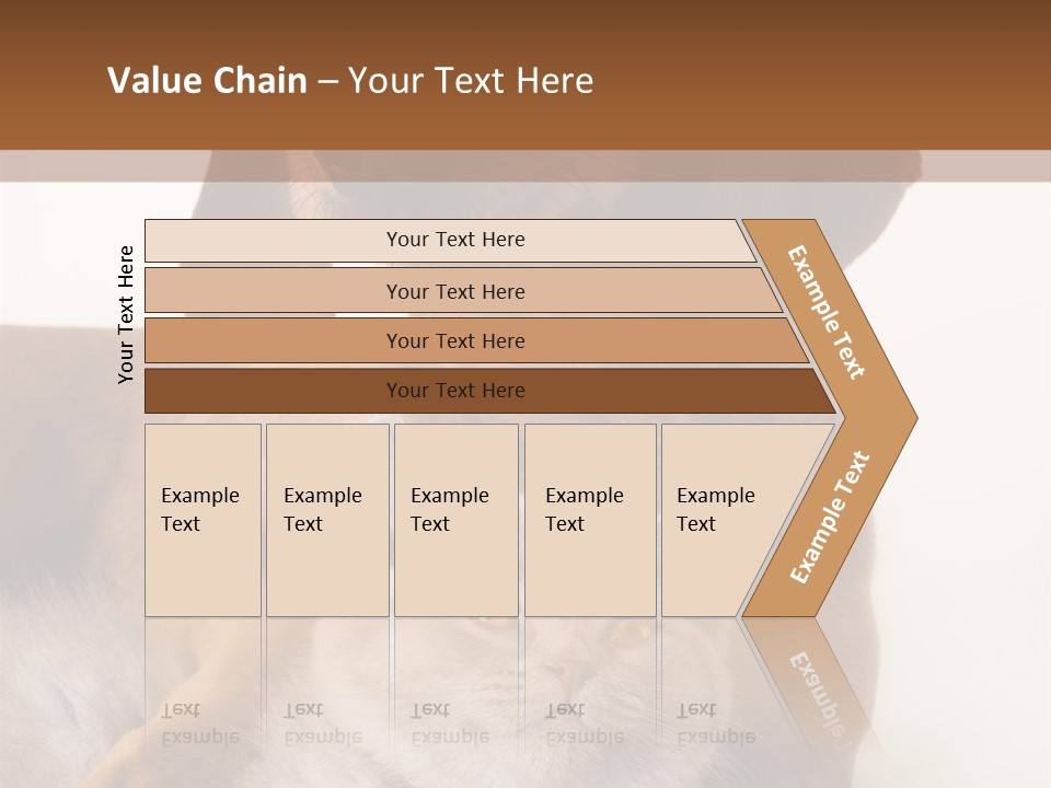 Black Kitty Life PowerPoint Template