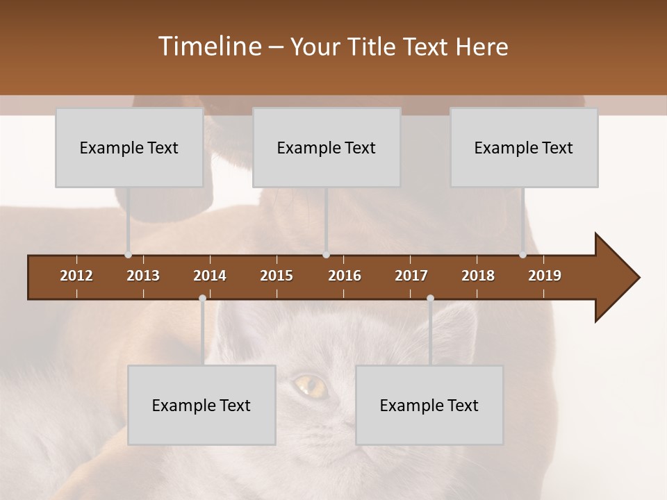 Black Kitty Life PowerPoint Template