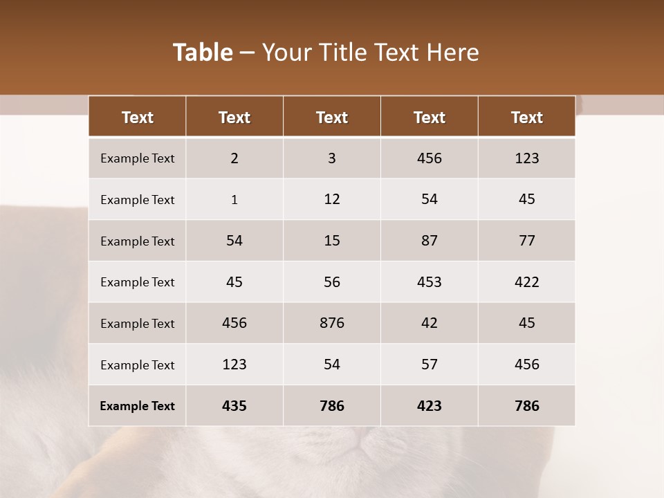 Black Kitty Life PowerPoint Template