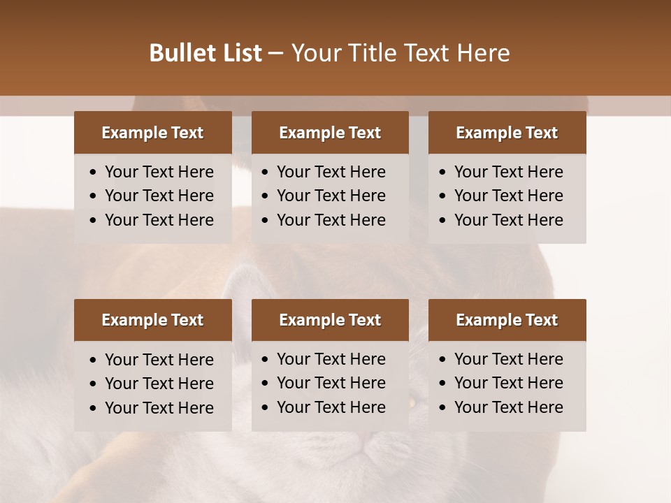 Black Kitty Life PowerPoint Template