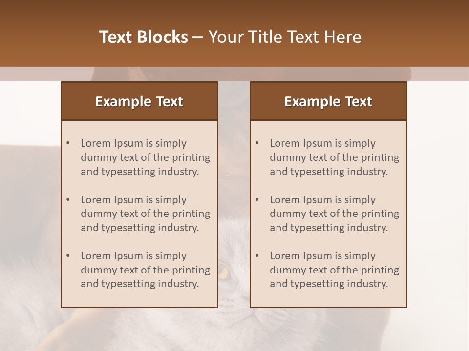 Black Kitty Life PowerPoint Template