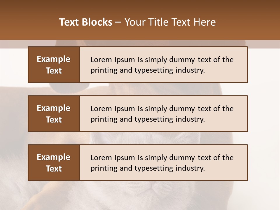 Black Kitty Life PowerPoint Template