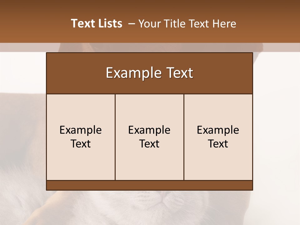 Black Kitty Life PowerPoint Template