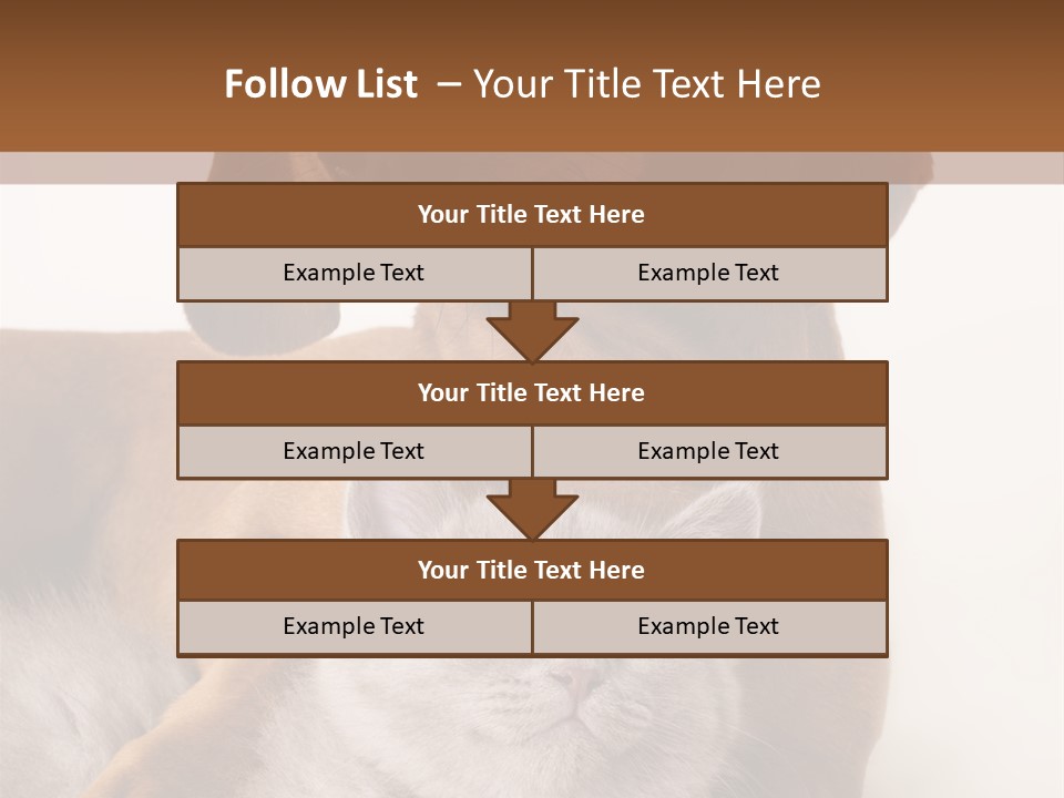 Black Kitty Life PowerPoint Template