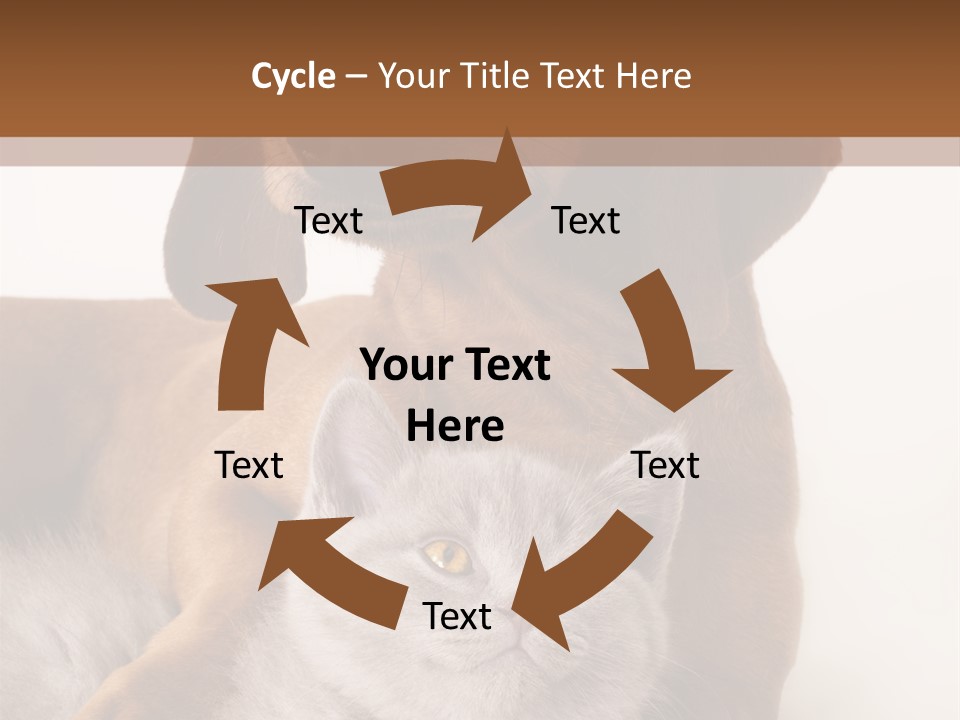 Black Kitty Life PowerPoint Template