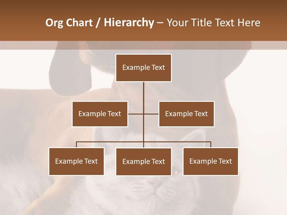 Black Kitty Life PowerPoint Template