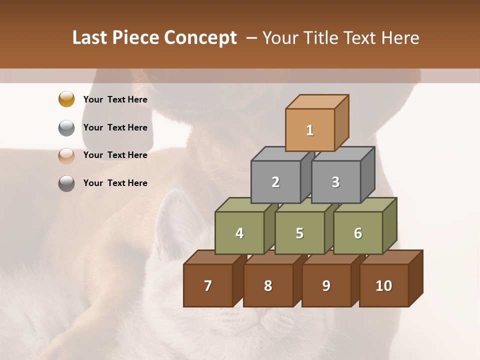 Black Kitty Life PowerPoint Template