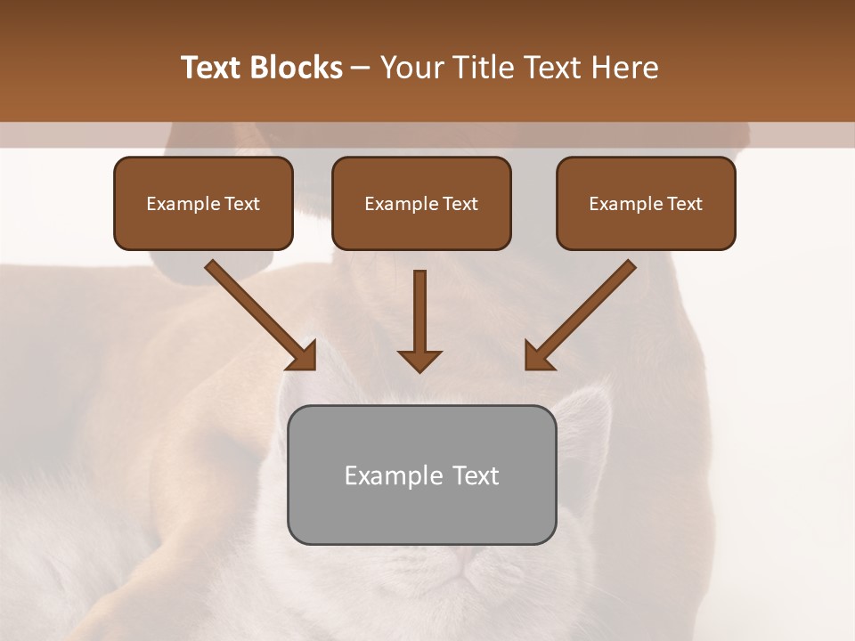 Black Kitty Life PowerPoint Template