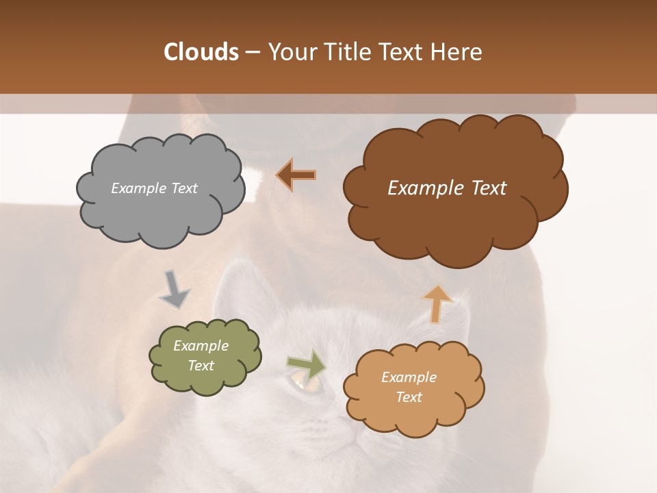 Black Kitty Life PowerPoint Template