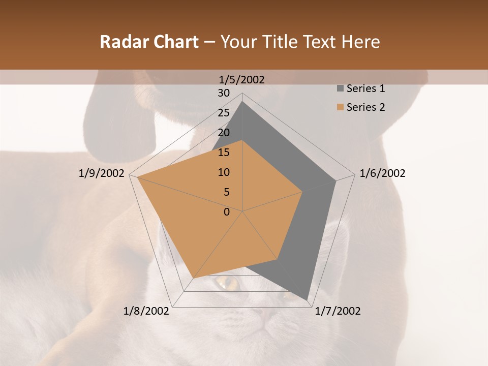 Black Kitty Life PowerPoint Template