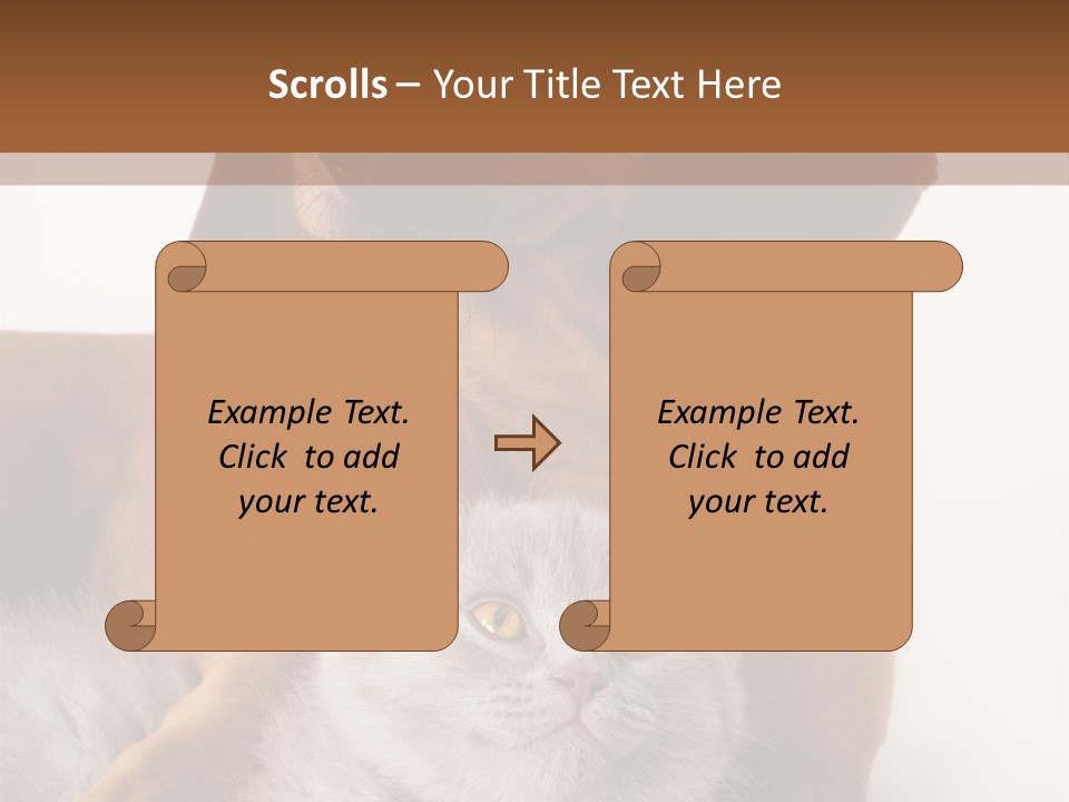 Black Kitty Life PowerPoint Template