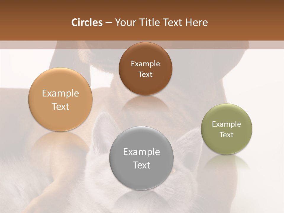 Black Kitty Life PowerPoint Template