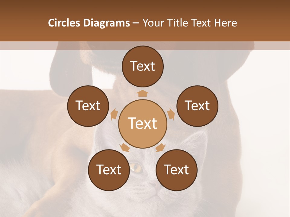 Black Kitty Life PowerPoint Template