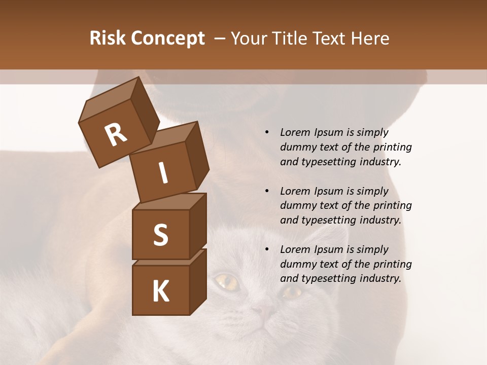 Black Kitty Life PowerPoint Template