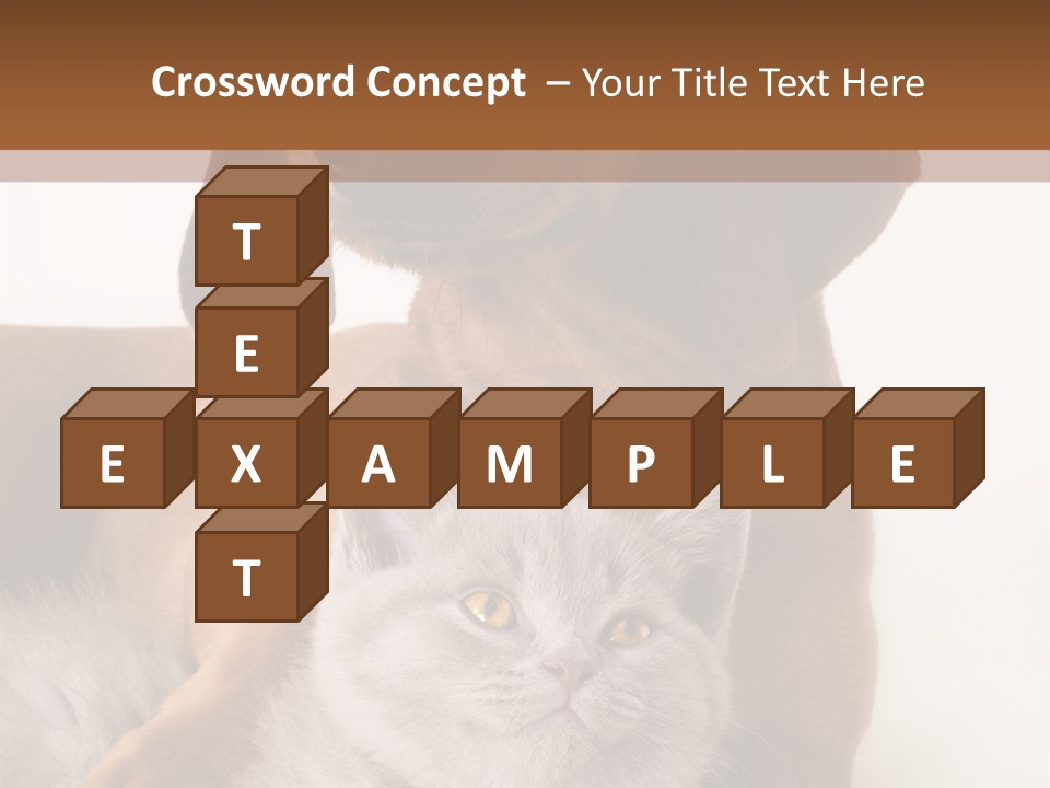 Black Kitty Life PowerPoint Template