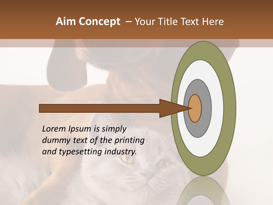 Black Kitty Life PowerPoint Template