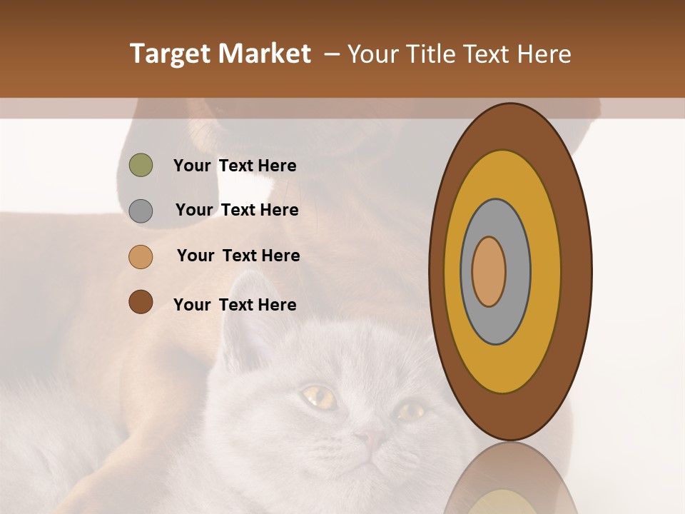 Black Kitty Life PowerPoint Template